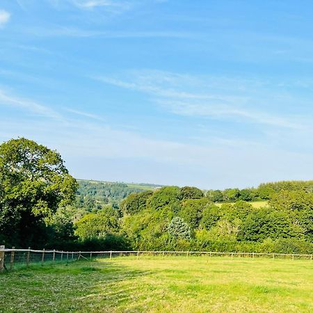 1 Bedroom Holiday Let In The Heart Of West Wales Carmarthen Ngoại thất bức ảnh