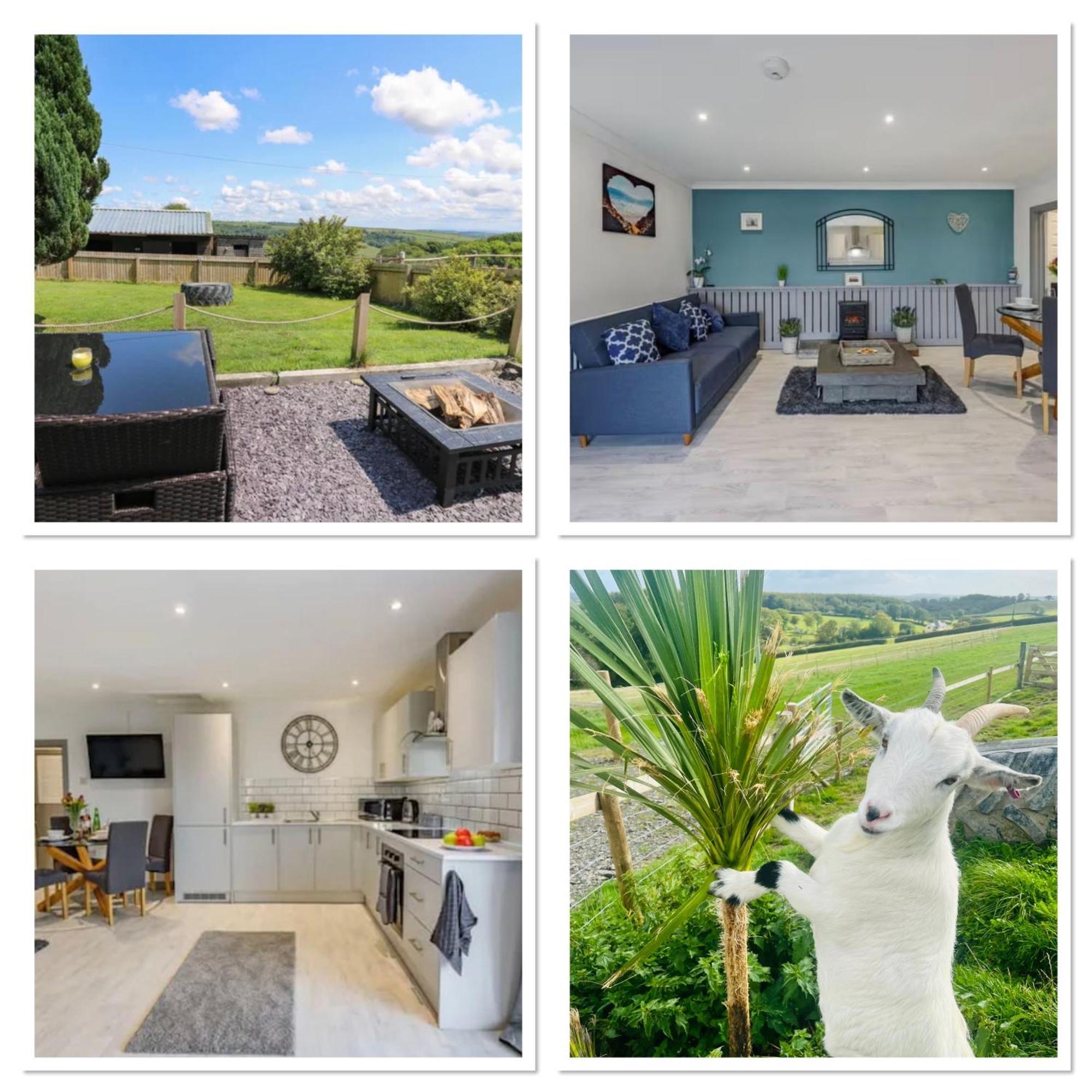 1 Bedroom Holiday Let In The Heart Of West Wales Carmarthen Ngoại thất bức ảnh